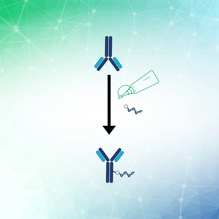 PICO Antibody Labeling Service image