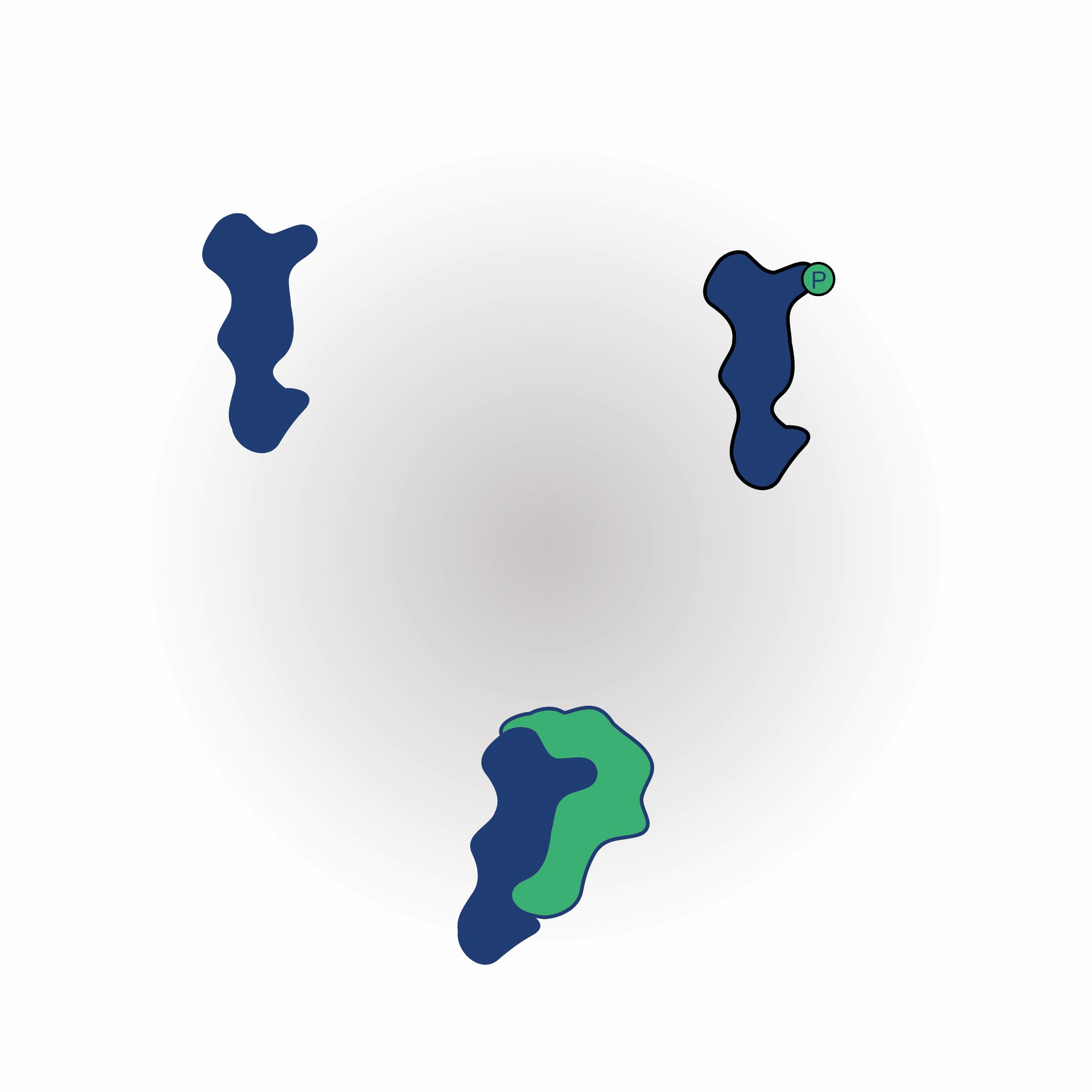 PICO_Targets-animated PICO_Targets-animated