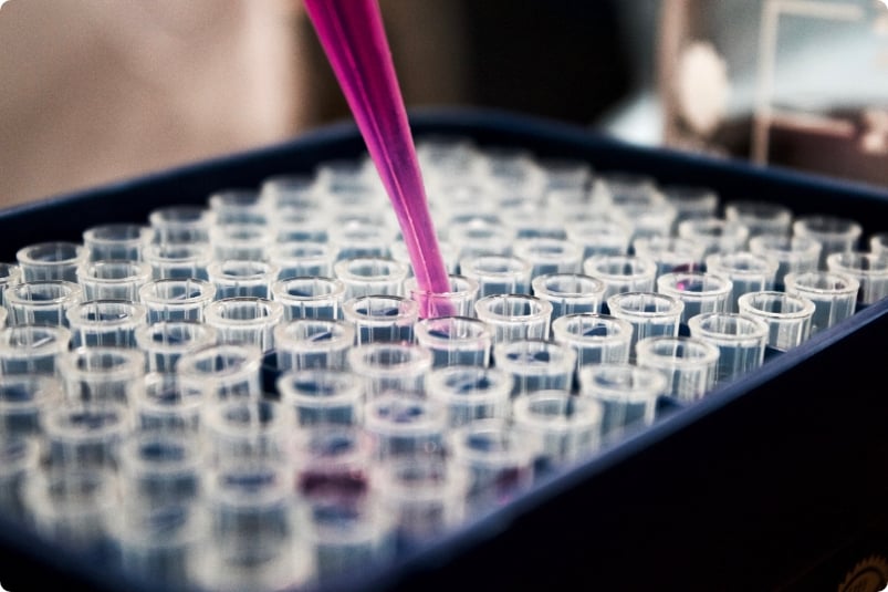 pipette pipette